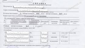 Чем отличается справка от выписки в Связной