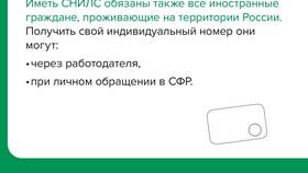 Что такое СНИЛС в России для иностранцев в Связной