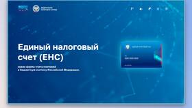 Единый налоговый платеж: как узнать информацию в Связной