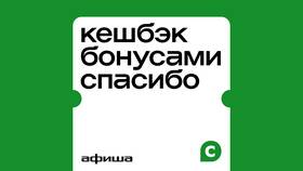 Как накопить бонусы в программе СберСпасибо в Связной
