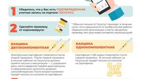 Как оформить электронный сертификат на Госуслугах в Связной