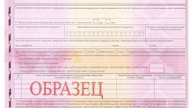 Как оформить полис ОСАГО онлайн самостоятельно в Связной