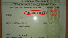 Как подтвердить СНИЛС в ФНС в Связной