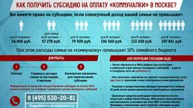 Как предоставляется субсидия в Связной