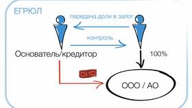 Как рассчитать стоимость доли в ООО в Связной