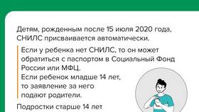 Как выглядит документ СНИЛС в 2024 году в Связной
