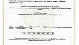Moneymania: что это за займ и как его получить в Связной