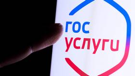 Пенсионный рейтинг на Госуслугах: назначение и возможности в Связной