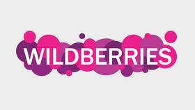 Решение проблем с улучшением кошелька Wildberries в Связной