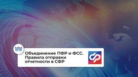 СФР выплаты ФСС: что это в Связной